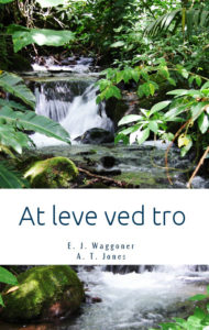 Book Cover: At leve ved tro