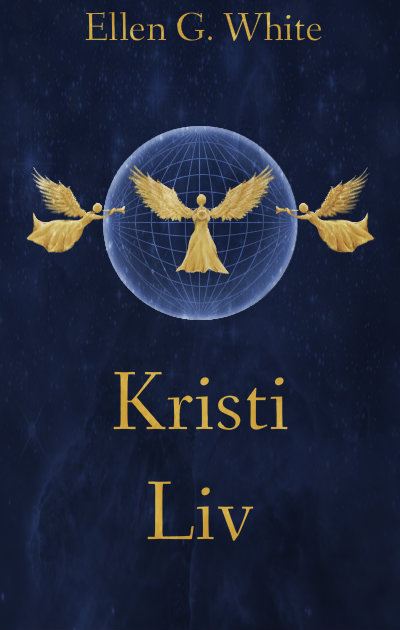 Book Cover: Kristi Liv